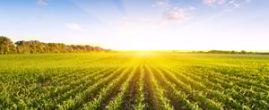 Luke Recruits - Agri, Food & Horti